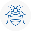 Bed Bug Extermination In Chadderton