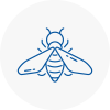 Bee Nest Removal Chadderton