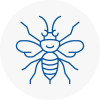 Chadderton Hornet Nest Removals
