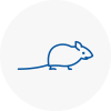 Mice Exterminators In Chadderton