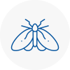 Moth Control Specialists In Chadderton