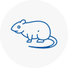 Rat Control Chadderton