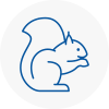 Chadderton Rodent Removals