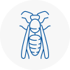 Chadderton Wasp Nest Removal